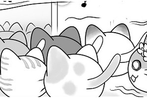 【にゃんコレ】(43)ハーメルンのイケ猫 画像