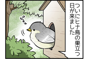 【４コママンガ】亀チャリ出張版！（157）ヒナ鳥の巣立ち